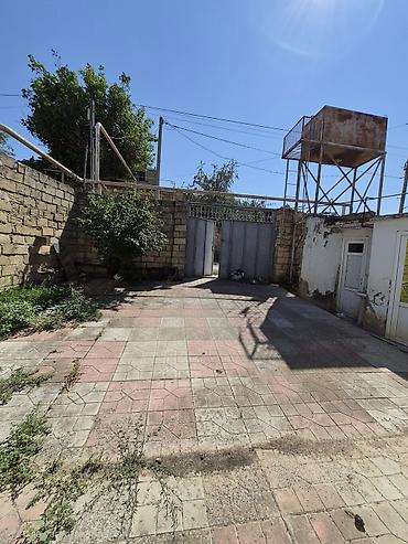 ev algi satgisi sumgayitda: Həyətyanı həyəti olan 1 mərtəbəli həyət evi 1 sotda 2 otag 1 petbex — 4