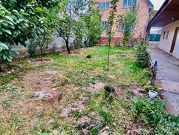 аренда домов кара жыгач: 250 м², 6 комнат и более, Кара-Жыгач ж/м — 9