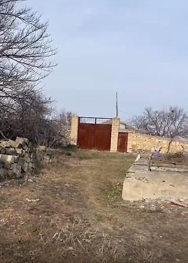 Daşınmaz əmlak: 31 sot, Tikinti, Mülkiyyətçi, Kupça (Çıxarış) — 2