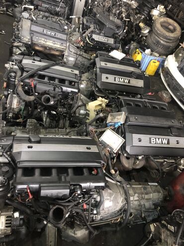 Масляные радиаторы: БМВ ЗАПЧАСТИ Е53 Х5 есть всё Запчасти на БМВ запчасти на БМВ Фара — 11