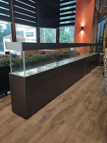aqvarium: Akvarium-şkaf, Balıqlarla birlikdə, 1000000 l, Rayonlara çatdırılma, Ünvandan götürmə, Pulsuz çatdırılma — 3