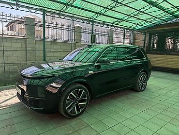 туманик степ: Lixiang L9: 2023 г., Электромобиль, Кроссовер — 1