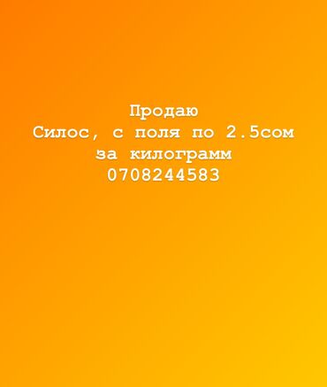 драбилка для сена: Силос на зиму, россыпью по 3 сома