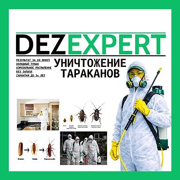 Дезинфекция, дезинсекция, | Тараканы, | Транспорт, Офисы, Квартиры at lalafo.kg Дезинфекция, дезинсекция, | Тараканы, | Транспорт, Офисы, Квартиры