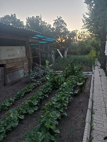 Продажа коттеджей и домов: Продаётся жилой дом с благоустроенными помещениями. - Кухня — 27