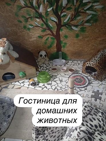 Гостиница для домашних питомцев" У Татьяны", предлагает услуги по at lalafo.kg Гостиница для домашних питомцев" У Татьяны", предлагает услуги по