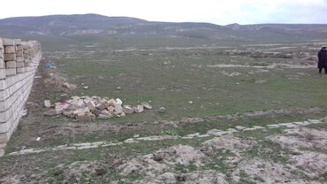 kupçalı torpaq: 8 sot, Mülkiyyətçi, Kupça (Çıxarış)