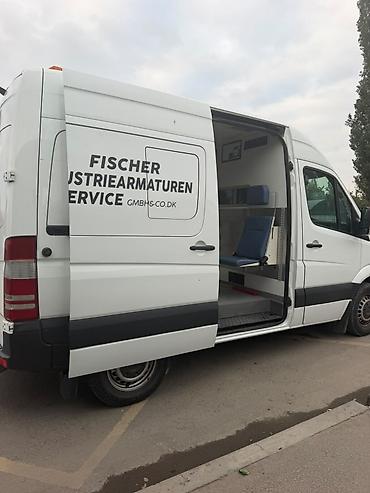 ступенька на спринтер: Mercedes-Benz Sprinter (длинная база, высокий потолок), белый фургон — 4