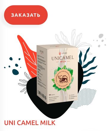 стабилизатор сахара: ВЕРБЛЮЖЬЕ МОЛОКО В КАПСУЛАХ Верблюжье молоко в капсулах — мощный
