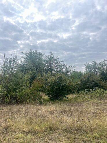 Torpaq sahələrinin satışı: 110 sot, Tikinti — 16