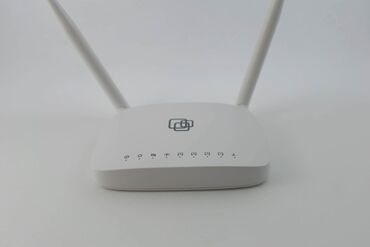 Модемы и сетевое оборудование: SNR-CPE-W4N