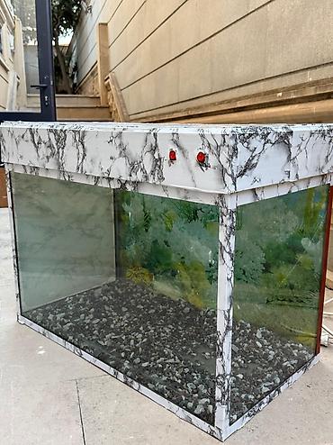 Akvarium satılır. Yaxşı vəziyyətdədir.Heç bir problemi yoxdu.Qiymət-