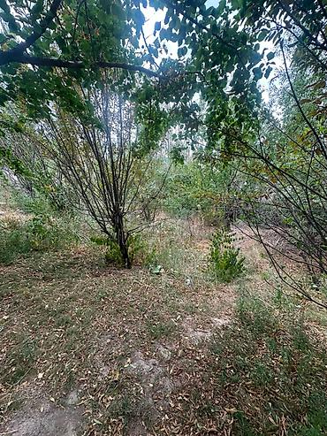 арзан ал: 🏡 **ПРОДАЁТСЯ УЧАСТОК С ДОМОМ — АН «АСМАН СИТИ»** 📍 Район — 4