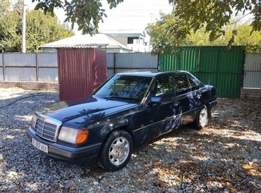 Mercedes-Benz: Mercedes-Benz W124: 1991 г., 2.9 л, Автомат, Дизель, Седан