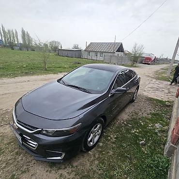 малибу 2017: Chevrolet Malibu: 2017 г., 1.5 л, Автомат, Бензин, Седан — 2