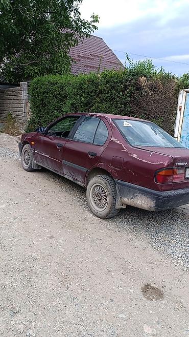 sp 4: Nissan Primera: 1990 г., 1.6 л, Механика, Бензин, Седан — 3