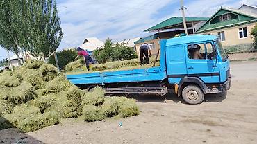 тс кg: Грузовик, Mercedes-Benz, Дубль, 7 т, Б/у — 8