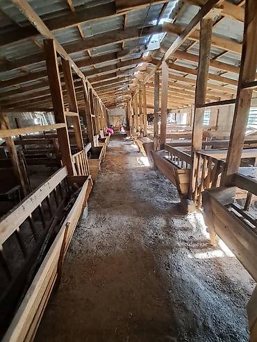 Продажа дач: Дача в Михайловка с фермерским бизнесом. 22 сотых до моря 15 минут — 18