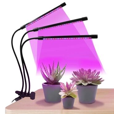 лампа для растений: Удобства для дома и сада