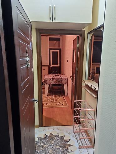 orbita mtk qara qarayev: Xırdalan kristal 2 kirayə mənzil 370 AZNetraflı vp aktivdir elaqe — 1
