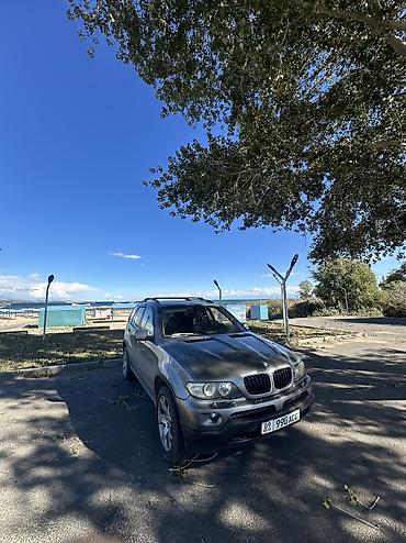 BMW: BMW X5: 2005 г., 3 л, Автомат, Дизель, Кроссовер — 1