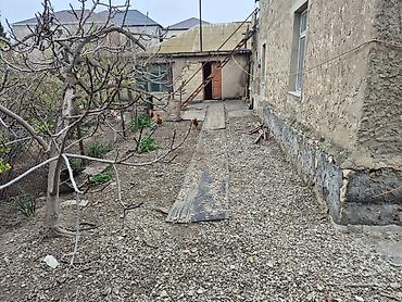xacmaz bina: Həyətyanı torpaq sahəsi və fərdi yaşayış evi - Geniş, daş hasarla — 2