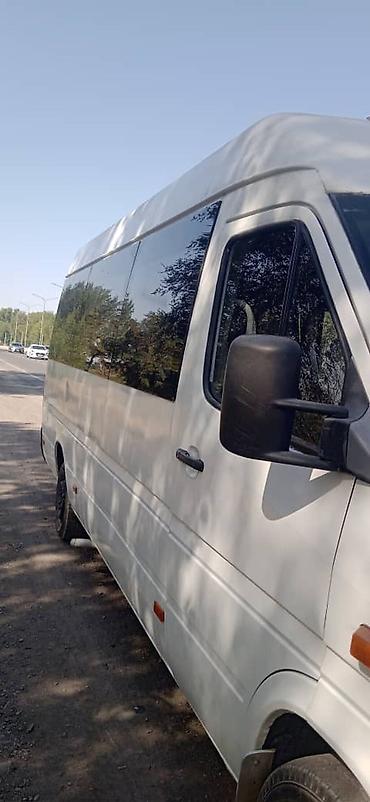 mc 2000: Автобус, Mercedes-Benz, 2003 г., 2.2 л, 16-21 мест — 4