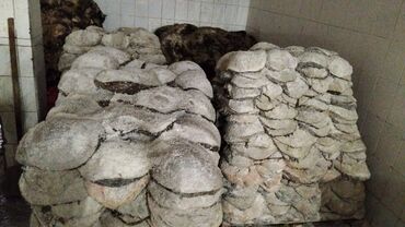 кресло бу ош: Говядина : Требуха, 2 кг, Бесплатная доставка