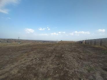 Torpaq sahələrinin satışı: 12 sot, Kupça (Çıxarış) — 7