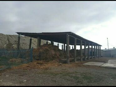 Sex, zavod və fabriklər: Ferma kompleksi – dağ mənzərəli, geniş ərazili təsərrüfat sahəsi — 5