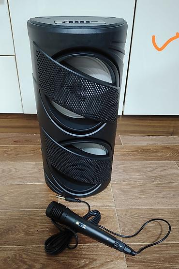 Audio: Portativ karaoke akustik sistemi + mikrafon - İki böyük dinamikli — 1