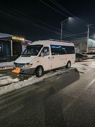 Mercedes-Benz: Mercedes-Benz Спринтер: 2004 г., 2.7 л, Дизель, Бус — 2