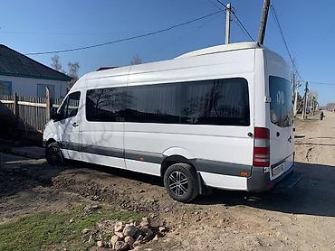 Mercedes-Benz: Mercedes-Benz Спринтер: 2007 г., 2.7 л, Механика, Дизель, Бус — 8