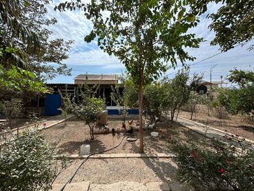 Bağ evlərinin satışı: Qaradağ Rayonu Qobustan Qəsəbəsinde 6 Sot Torpağda Kürsülü ev və — 22