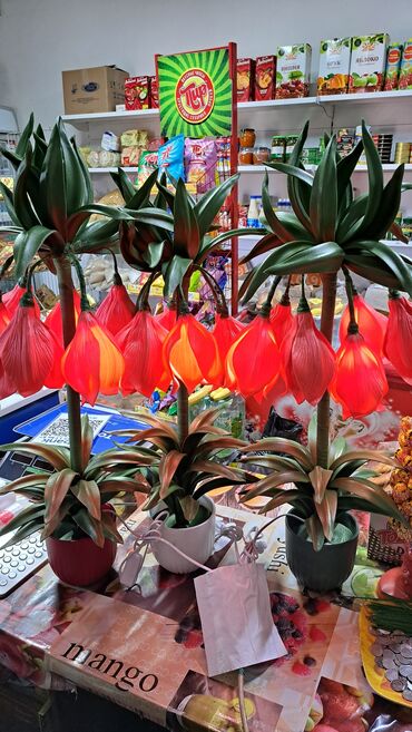 Лилии: Лилии — 6