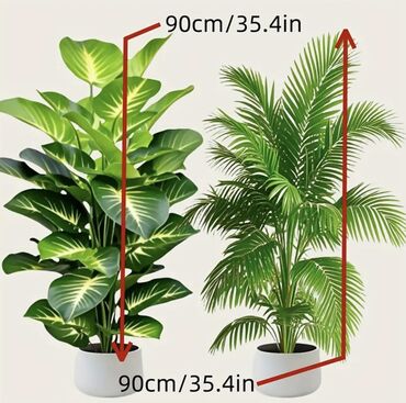 Süni güllər: 🌸 İstədiyiniz dibçəyi, istədiyiniz ölçüdə yığırıq! 🏡 Evlər, ofislər -da lalafo.az — 2 Süni güllər: 🌸 İstədiyiniz dibçəyi, istədiyiniz ölçüdə yığırıq! 🏡 Evlər, ofislər — 2