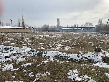 Жер тилкелери: 60 соток, Бизнес үчүн, Техпаспорт — 4