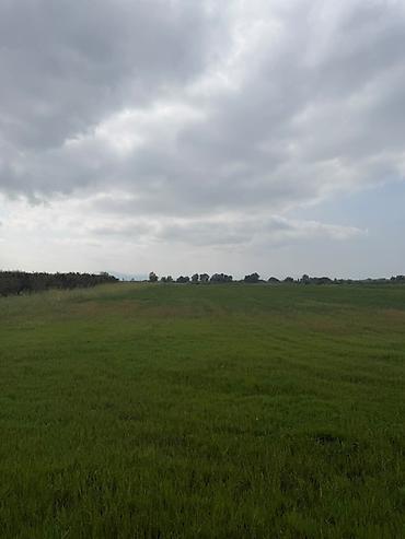 Torpaq sahələrinin satışı: 114 sot, Kənd təsərrüfatı, Kupça (Çıxarış), Bələdiyyə — 4