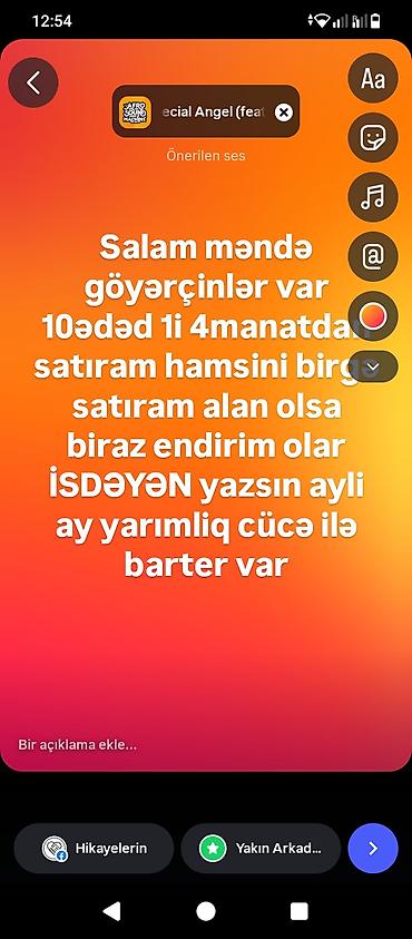 qaz ve ordek satisi: Satılır isdəyən yazsin qaxdadir — 1