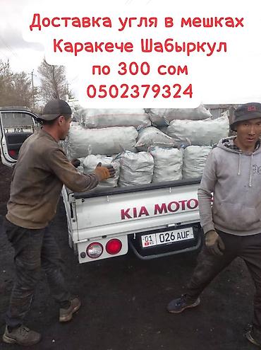 Уголь в мешках с доставкой. - Уголь: Кара-Кече, Шабыркуль - Фасовка