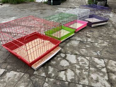 Qəfəslər: Etrafli vp 051 494 09 86 Qefeslerin her biri satişda var qefes bitende — 6