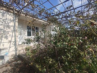 xutor ev: Maştağa qəs. 2 otaqlı, 50 kv. m, Kredit yoxdur, Orta təmir — 2