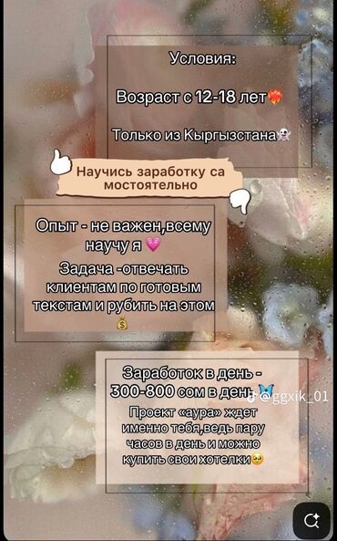 работа для студенток: Предлагается возможность онлайн-заработка для подростков от 12 до 18