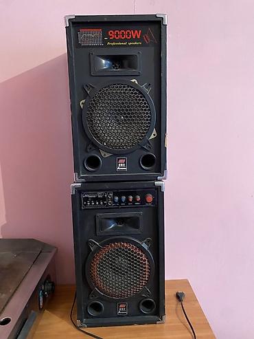 калонки на прокат: Пара напольных акустических систем SH (Professional Speakers) с — 1