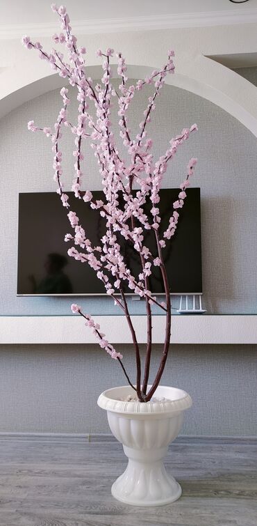 semeni dekorlari: Sakura ağacı süni gül 2 metr, çatdırılmayla 100 manat gəlib götürülsə