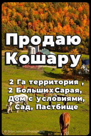 продажа дом с бизнесом: | Электричество