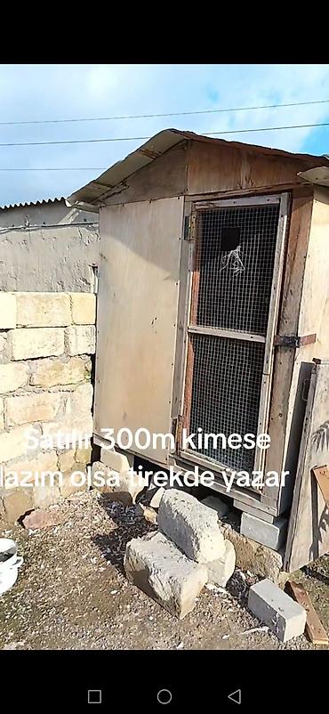 kend toyuqlari: Taxta toyuq/kənd quşları üçün daxıl - Material: qalın taxta və metal — 3