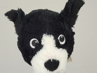 Mascot Dog, condition - Very good