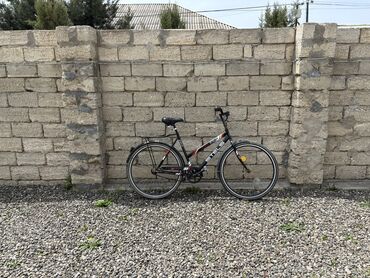 İdman velosipedləri: İşlənmiş Şose velosipedi Stels, 28"