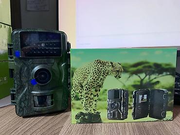 сливы видео с пантерой: Фотоловушка/лесная камера с датчиком движения PIR, DL001 — 4